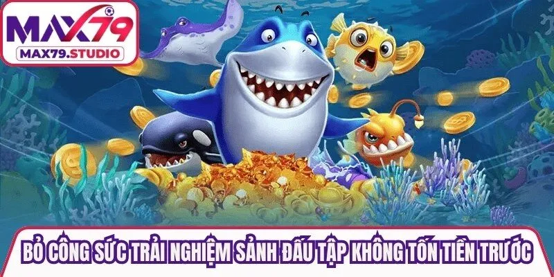 Bỏ công sức trải nghiệm những sảnh đấu tập không tốn tiền trước