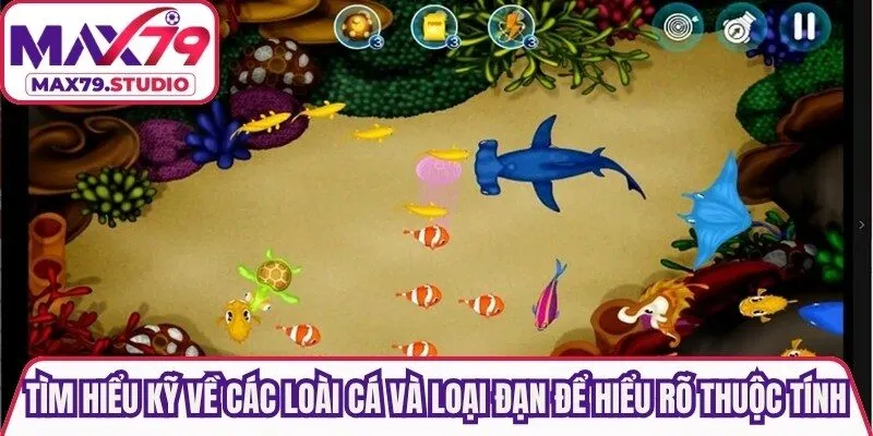 Tìm hiểu kỹ về các loài cá và các loại đạn để hiểu rõ thuộc tính