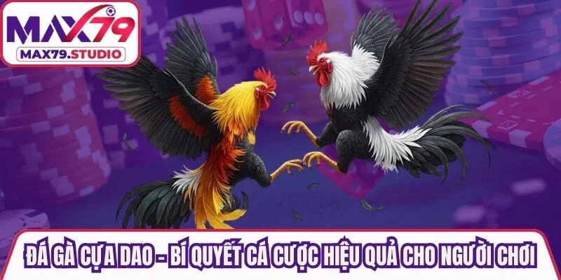 Đá Gà Cựa Dao