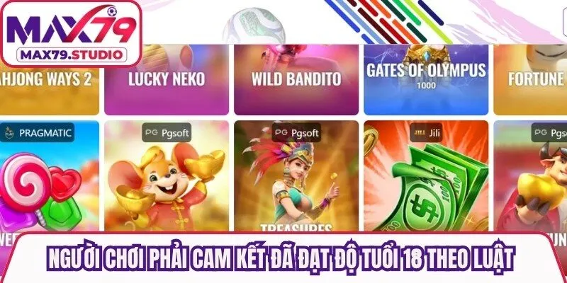 Người chơi phải cam kết đã đạt độ tuổi 18 theo luật để đăng ký