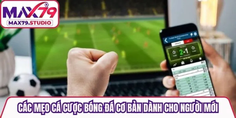 Các mẹo cá cược bóng đá cơ bản dành cho người mới