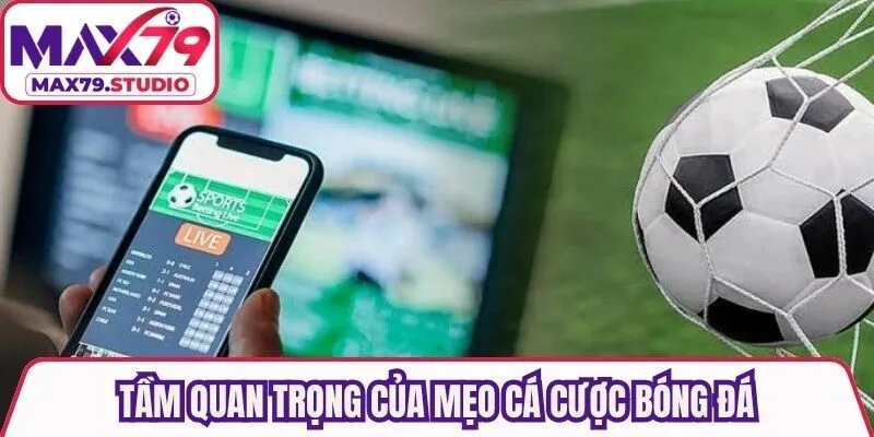 Tầm quan trọng của mẹo cá cược bóng đá