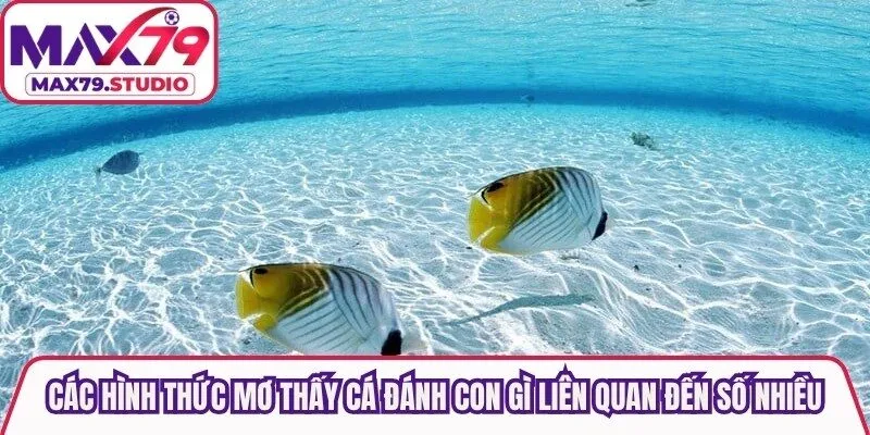 Các hình thức mơ thấy cá đánh con gì liên quan đến số nhiều