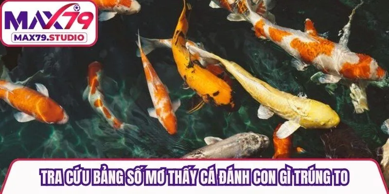 Tra cứu bảng số mơ thấy cá đánh con gì trúng to